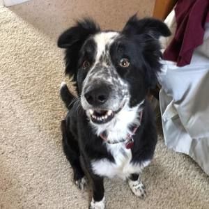 Meet your Posher, Diane